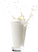 Mliečna príchuť